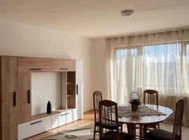 2BR Cosy Apart, lägenhet i Satu Mare