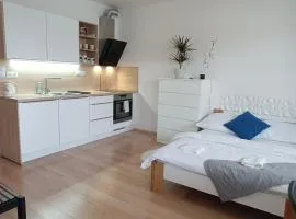 Apartman Bystrc