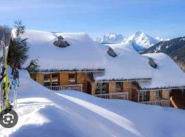 Chalet au pied des pistes, skijalište u gradu Saint-Francois-Longchamp