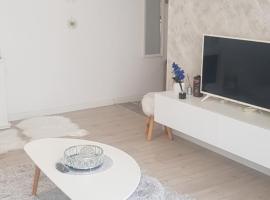 White Apartment Terezian, apartment in Sibiu