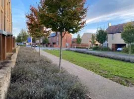 Homely, Cosy & Contemporary 4 BDR house with Garden & Parking 5 mins drive to Addenbrookes & Papworth hospitals & Bio Medical campus