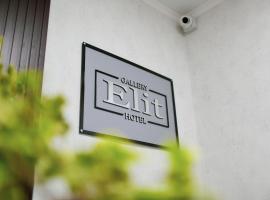 Gallery Elit Hotel, Hotel in Dunaivtsi