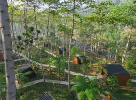 Bobocabin The Tavia, Puncak
