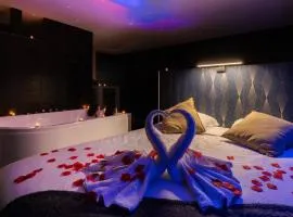 Suite Boréale 50m2 spa privatif.