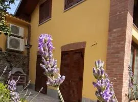 CASA LAVANDA