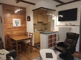 Petit paradis cocooning avec balcon à Torgon