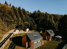 Domki pod Kamionna