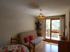 Appartement centre village, 4 personnes, 1 chambre, 1 coin montagne - VLI24