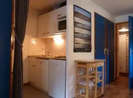 Appartement centre village, 6 personnes, 1 chambre, 1 coin montagne - VLI44