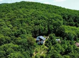 Beauty Wood House in The Forest
