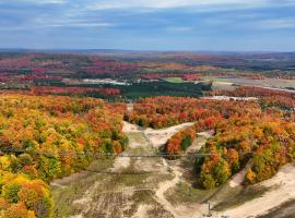 803 Mountain Cabin, hotel di Boyne Falls