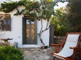 Under The Linden Tree Tinos