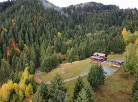 Cabana din Munți