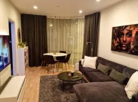 NEW modern apartment at Solsiden