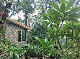 Casa Musgo, hotel v destinaci Xilitla