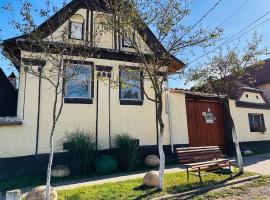 Pensiunea Rozalia, guest house in Criţ