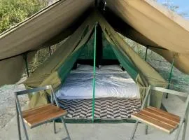 Kambu Mara Camp