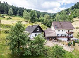 Haus Am Waldrand, hotel v destinaci Schenkenzell