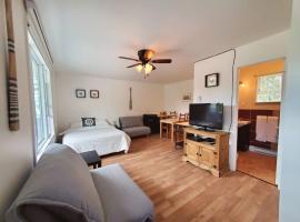 Les Petits Studios du bord de l'eau，Saint-Joseph-de-la-Rive的海灘飯店