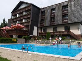 Hotel Pavla Vysočina, hôtel à Nové Město na Moravě