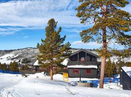 Active Adventure Base - Apartment & Lavvo, Dagali Fjellpark