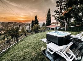 The Cypress Villa & Vineyard II, hotel a Sremska Kamenica