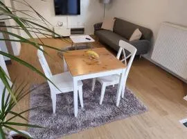 Unterkunft Sanic