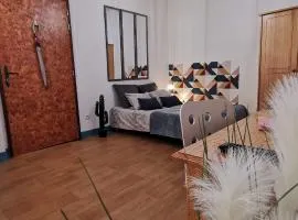 Le Lucerne, entre thermes et centre ville-lamaisondefrancois03