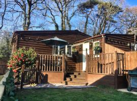 The Chalet In The New Forest - 5 km from Peppa Pig!, chalet i Southampton
