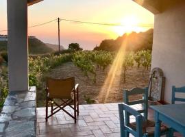 One Storey House with Sea view on Petani Beach – hotel w mieście Vóvikes