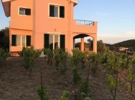 Les Oliviers Villa with Sea view on Petani Beach