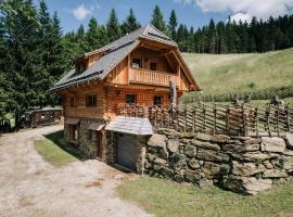 Webertonihütte, αγροικία σε Bad Sankt Leonhard im Lavanttal