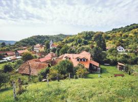 Petershaus - casa de vacanța și distractie., hotel a Petiş
