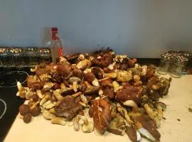 Własny pomost, kajak, kominek, grill, hamaki ognisko Prywatny raj nad wodą, BRZÓZKI 1