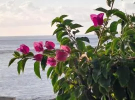 White Sunset - Votre appartement pieds dans l'eau