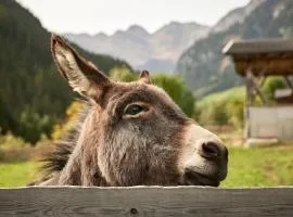 Ratschingser Kreuz Blasighof