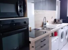 appartement pour famille amis ou colègue