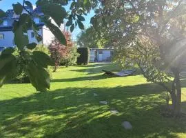 Anni's Waldblick