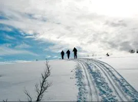 Fantastic and high standard apartment in Nordseter