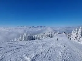 Kope, Jagoda 8 - Studio 1