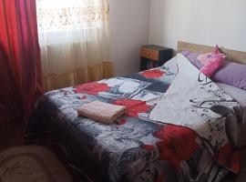 Camere in regim hotelier, apartamento en Calafat