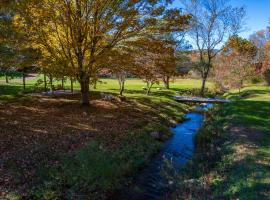 Holler Hall Creekside Mountain Cabin Retreat, hotel in Sparta