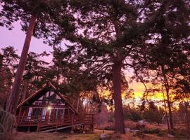 Rustic A-Frame hot tub retreat near Deception Pass, hotel v destinaci Oak Harbor