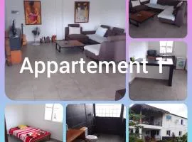 Appartements Tsy kivy
