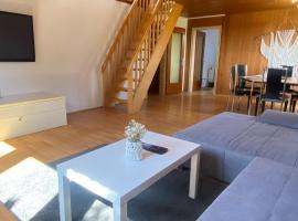 Apartmenthaus Selbitz, hotel with parking in Selbitz