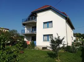 Róbert Apartmant