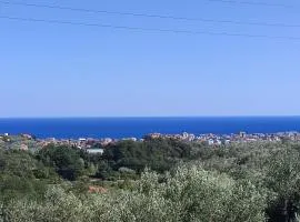 B&B Dolce Risveglio