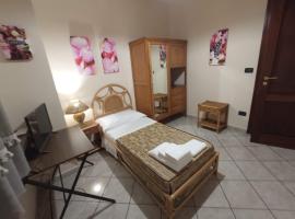 I Fiori di AminA Le Begonie