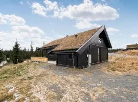 Cozy Home In Sjusjen With Kitchen