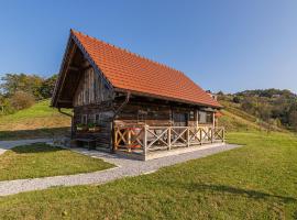 Vineyard Cottage Grajska Kašča - Happy Rentals: Mirna şehrinde bir otel